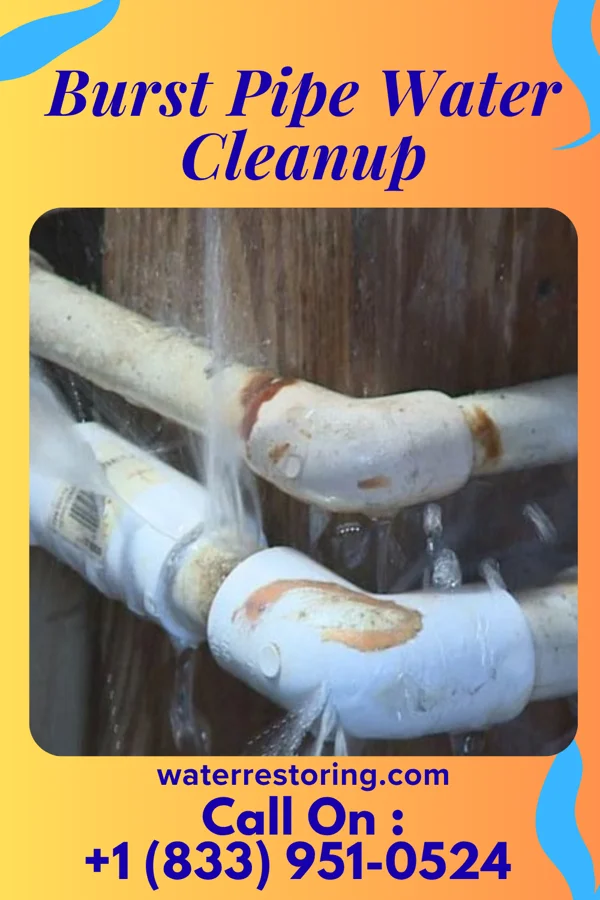 Burst Pipe Water Cleanup in Elk Horn, IA