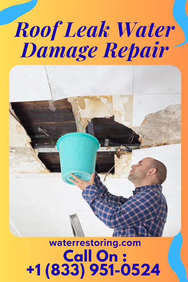 Roof Leak Water Damage Repair in Elk Horn, IA