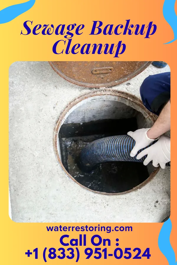 Sewage Backup Cleanup in Elk Horn, IA